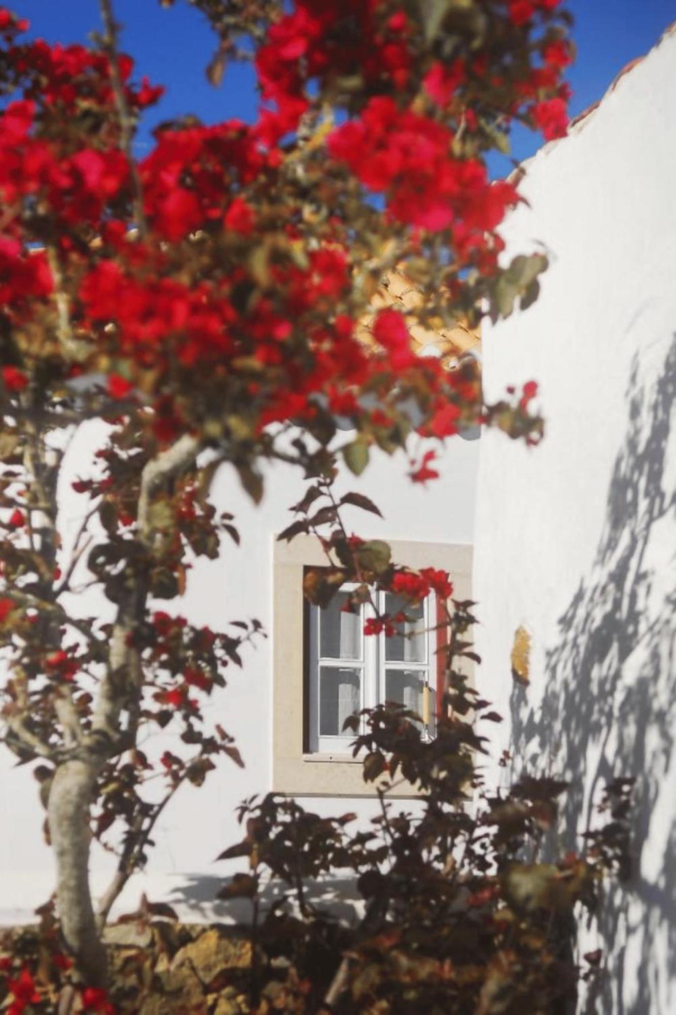 Casas Da Tia Alice - Casas De Campo Encantadoras Em Mafra Buitenkant foto